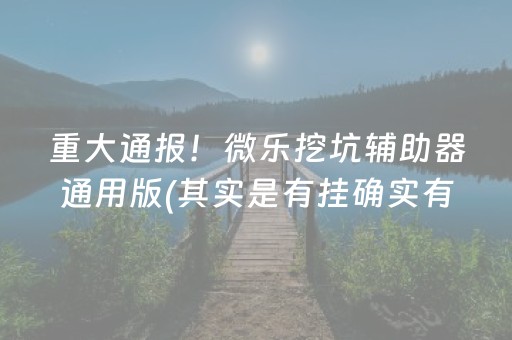 重大通报！微乐挖坑辅助器通用版(其实是有挂确实有挂)