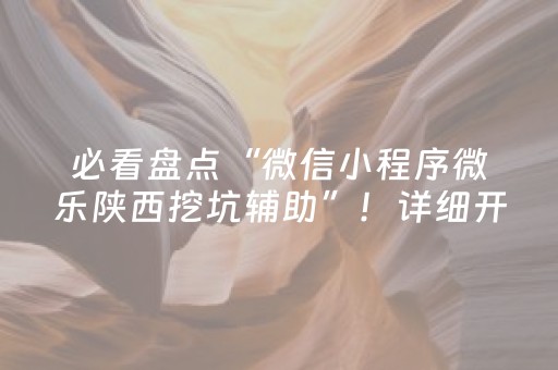 必看盘点“微信小程序微乐陕西挖坑辅助”！详细开挂教程（确实真的有挂)-知乎