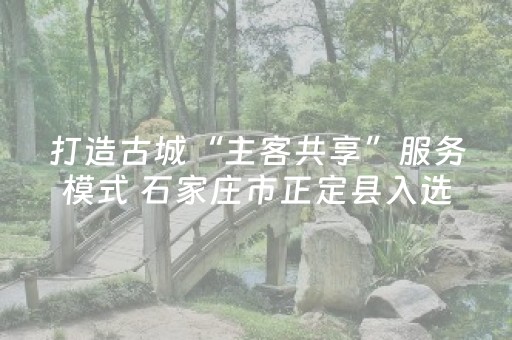 打造古城“主客共享”服务模式 石家庄市正定县入选全国旅游厕所建设与管理优秀案例