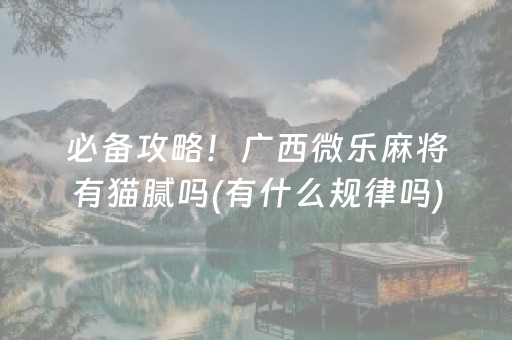 必备攻略！广西微乐麻将有猫腻吗(有什么规律吗)