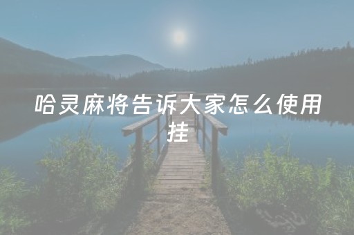 哈灵麻将告诉大家怎么使用挂（哈灵麻将又挂吗）