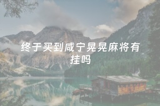 终于买到咸宁晃晃麻将有挂吗（湖北晃晃麻将技巧）