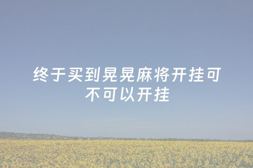 终于买到晃晃麻将开挂可不可以开挂（晃晃麻将玩法介绍在哪里看）