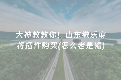 大神教教你！山东微乐麻将插件购买(怎么老是输)