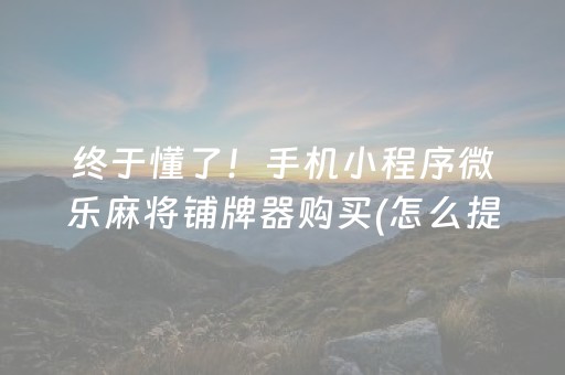 终于懂了！手机小程序微乐麻将铺牌器购买(怎么提升胜率)