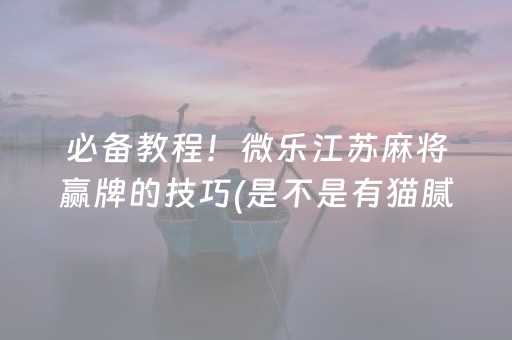 必备教程！微乐江苏麻将赢牌的技巧(是不是有猫腻)