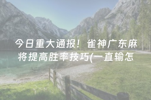 今日重大通报！雀神广东麻将提高胜率技巧(一直输怎么办)