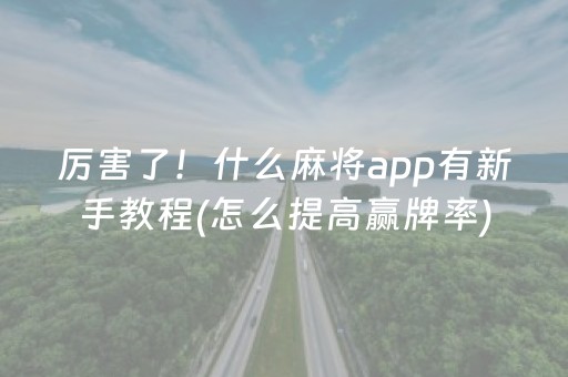 厉害了！什么麻将app有新手教程(怎么提高赢牌率)