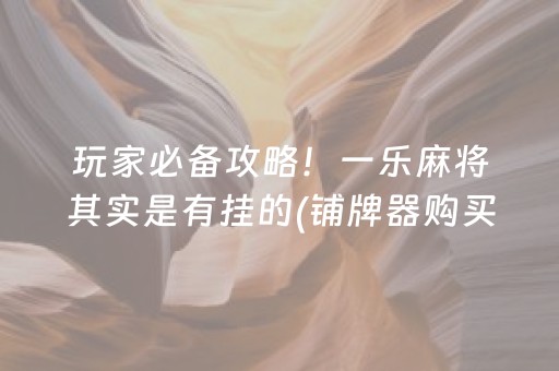 玩家必备攻略！一乐麻将其实是有挂的(铺牌器购买)