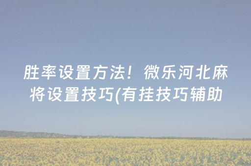 胜率设置方法！微乐河北麻将设置技巧(有挂技巧辅助器)