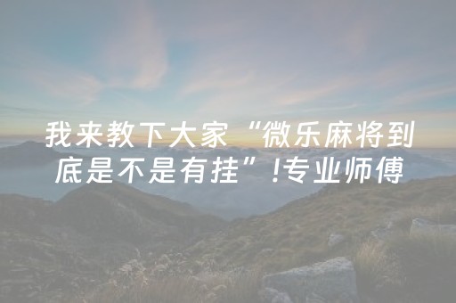 我来教下大家“微乐麻将到底是不是有挂”!专业师傅带你一起了解（详细教程）-知乎