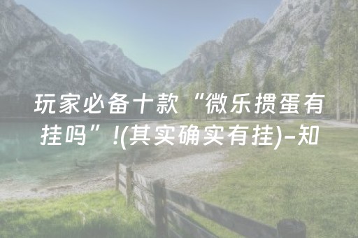 玩家必备十款“微乐掼蛋有挂吗”!(其实确实有挂)-知乎