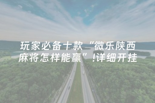 玩家必备十款“微乐陕西麻将怎样能赢”!详细开挂教程-知乎