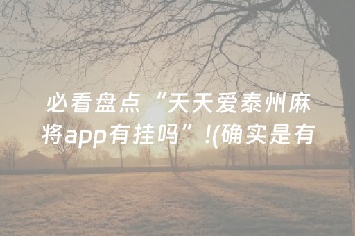 必看盘点“天天爱泰州麻将app有挂吗”!(确实是有挂)-知乎