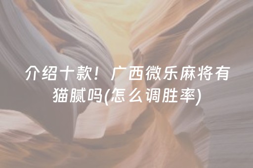 介绍十款！广西微乐麻将有猫腻吗(怎么调胜率)