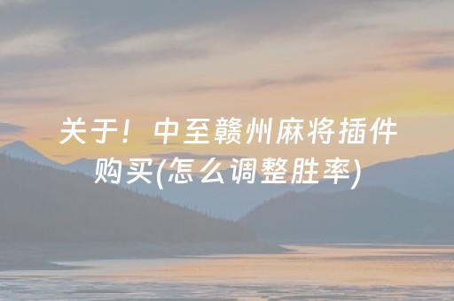 关于！中至赣州麻将插件购买(怎么调整胜率)