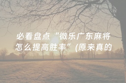 必看盘点“微乐广东麻将怎么提高胜率”(原来真的有挂)-知乎