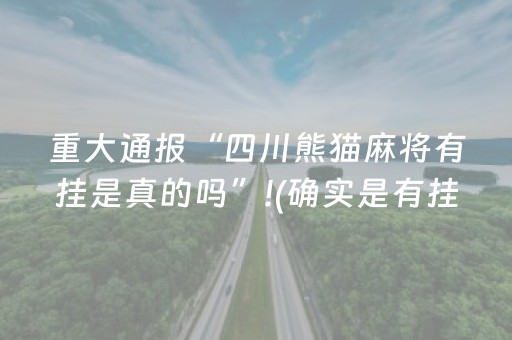 重大通报“四川熊猫麻将有挂是真的吗”!(确实是有挂)-知乎