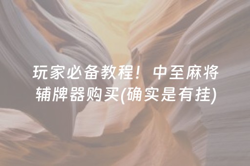 玩家必备教程！中至麻将辅牌器购买(确实是有挂)