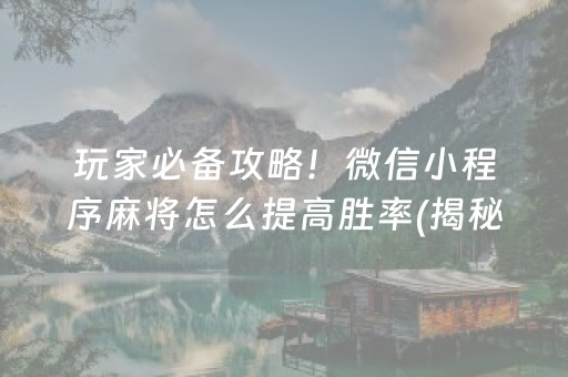 玩家必备攻略！微信小程序麻将怎么提高胜率(揭秘微信里插件下载)