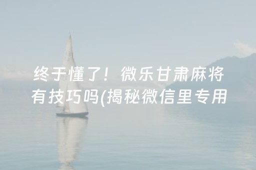 终于懂了！微乐甘肃麻将有技巧吗(揭秘微信里专用神器)