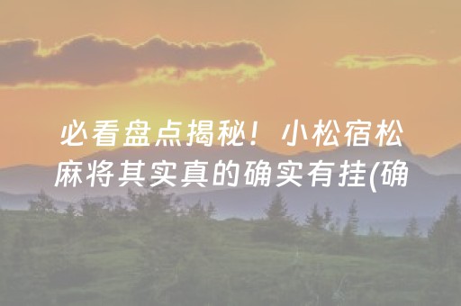 必看盘点揭秘！小松宿松麻将其实真的确实有挂(确实真有挂)