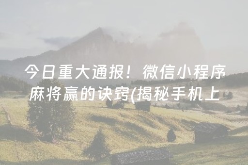 今日重大通报！微信小程序麻将赢的诀窍(揭秘手机上自建房怎么赢)