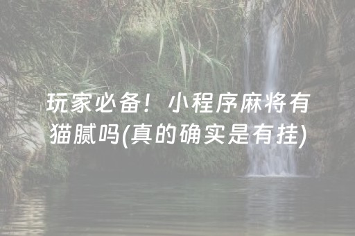 玩家必备！小程序麻将有猫腻吗(真的确实是有挂)