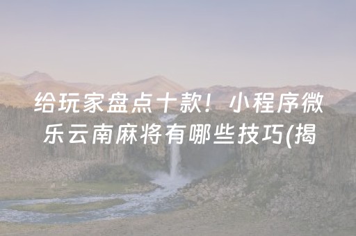 给玩家盘点十款！小程序微乐云南麻将有哪些技巧(揭秘小程序插件免费)