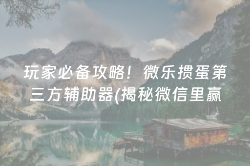 玩家必备攻略！微乐掼蛋第三方辅助器(揭秘微信里赢的秘诀)