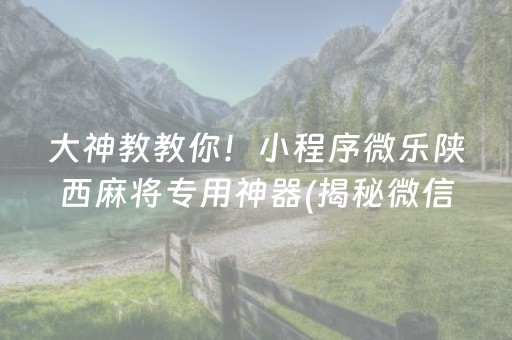 大神教教你！小程序微乐陕西麻将专用神器(揭秘微信里专用神器下载)