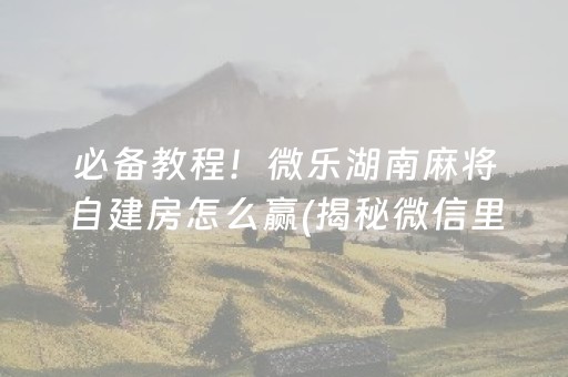 必备教程！微乐湖南麻将自建房怎么赢(揭秘微信里赢的诀窍)