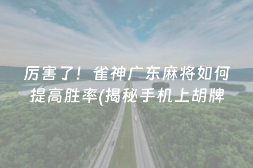 厉害了！雀神广东麻将如何提高胜率(揭秘手机上胡牌神器)