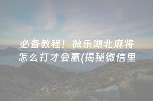 必备教程！微乐湖北麻将怎么打才会赢(揭秘微信里专用神器)