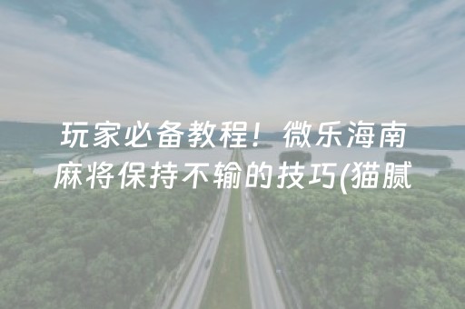 玩家必备教程！微乐海南麻将保持不输的技巧(猫腻秘籍真的有挂)