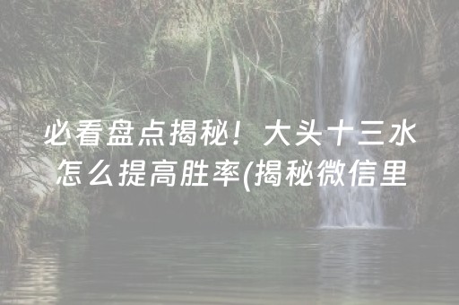 必看盘点揭秘！大头十三水怎么提高胜率(揭秘微信里助攻神器)