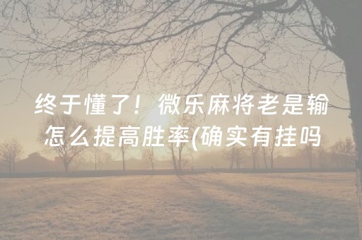 终于懂了！微乐麻将老是输怎么提高胜率(确实有挂吗)