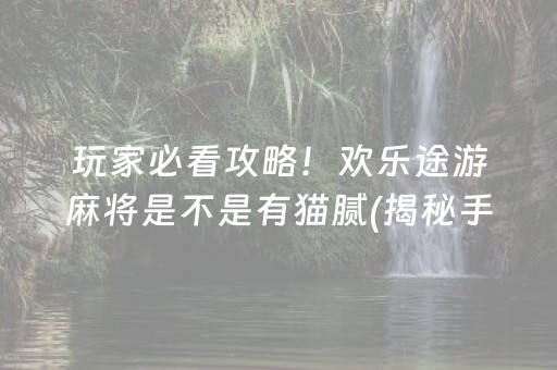 玩家必看攻略！欢乐途游麻将是不是有猫腻(揭秘手机上提高赢的概率)