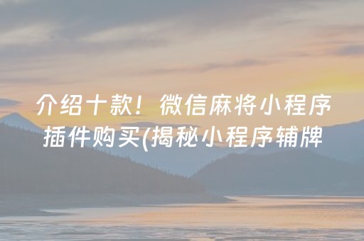 介绍十款！微信麻将小程序插件购买(揭秘小程序辅牌器)