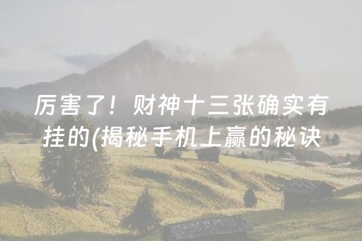 厉害了！财神十三张确实有挂的(揭秘手机上赢的秘诀)