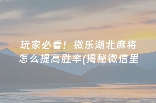 玩家必看！微乐湖北麻将怎么提高胜率(揭秘微信里最新神器下载)