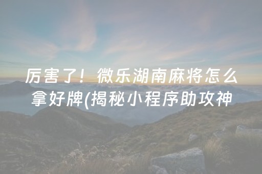 厉害了！微乐湖南麻将怎么拿好牌(揭秘小程序助攻神器)