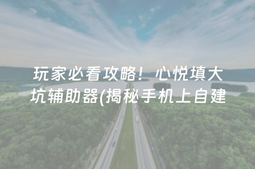 玩家必看攻略！心悦填大坑辅助器(揭秘手机上自建房怎么赢)