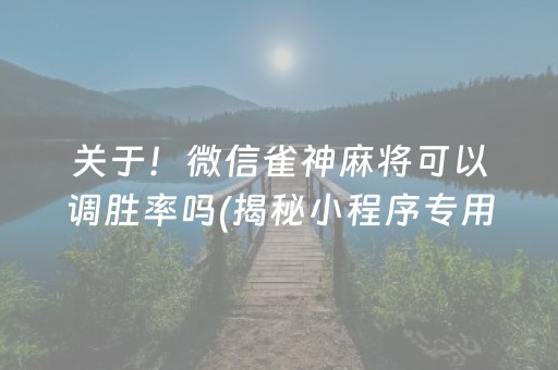 关于！微信雀神麻将可以调胜率吗(揭秘小程序专用神器下载)