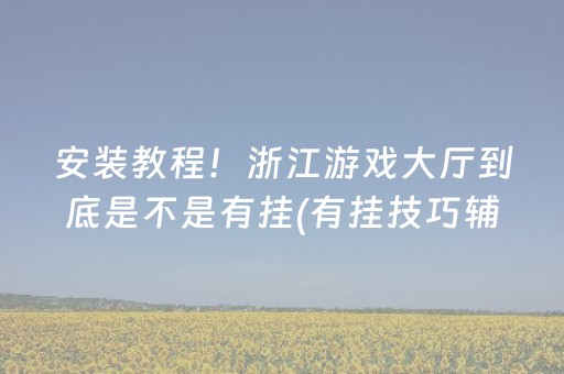 安装教程！浙江游戏大厅到底是不是有挂(有挂技巧辅助器)