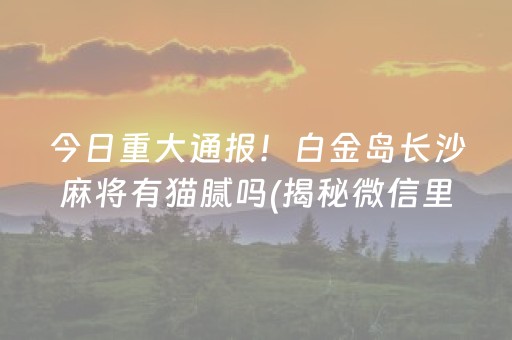 今日重大通报！白金岛长沙麻将有猫腻吗(揭秘微信里赢的秘诀)