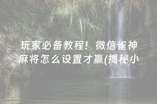 玩家必备教程！微信雀神麻将怎么设置才赢(揭秘小程序提高胜率)