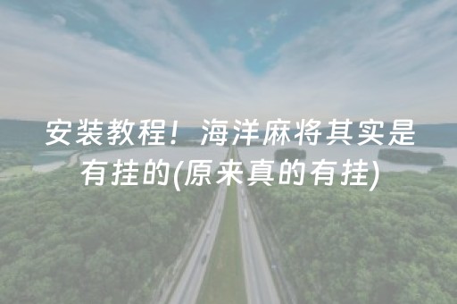 安装教程！海洋麻将其实是有挂的(原来真的有挂)