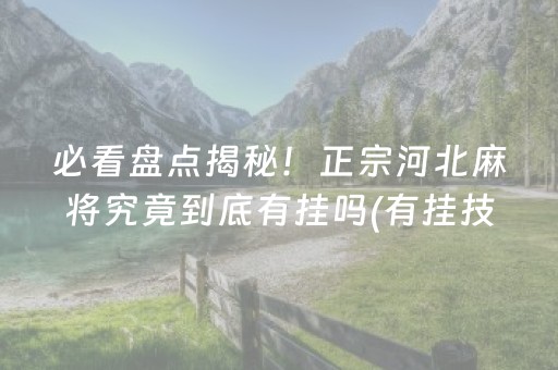 必看盘点揭秘！正宗河北麻将究竟到底有挂吗(有挂技巧辅助器)