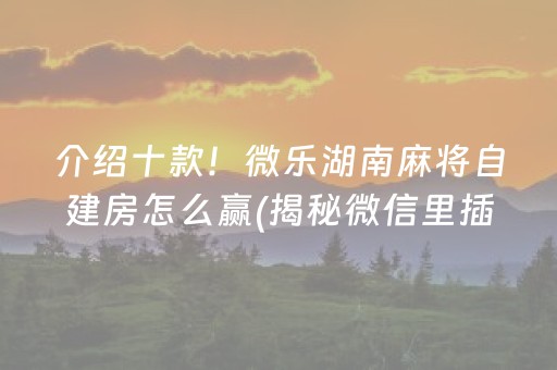 介绍十款！微乐湖南麻将自建房怎么赢(揭秘微信里插件下载)